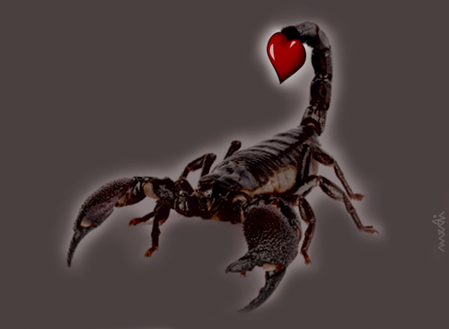 Любовь И Секс Скорпиона