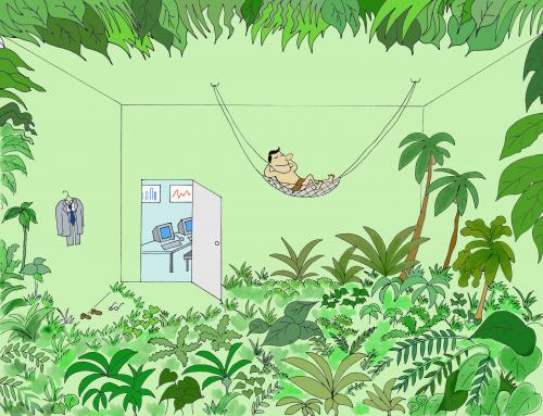 jungle room