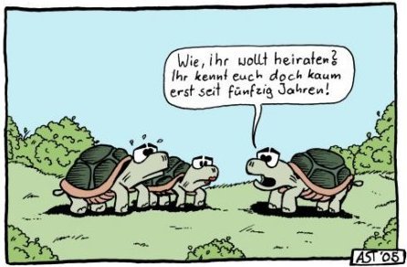 Cartoon: Schildkroetz (medium) by Astu tagged turtles,schildkroetz,fun