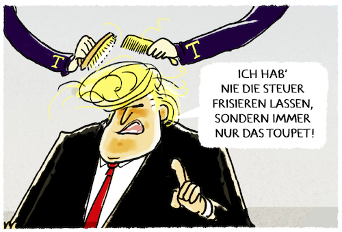 Trumps Steuererklärung