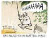 Fifa-Scheinwelt