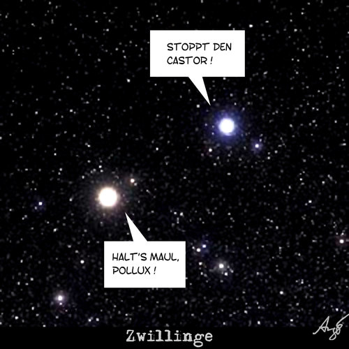 Zwillinge