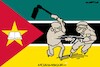 Mozambique flag