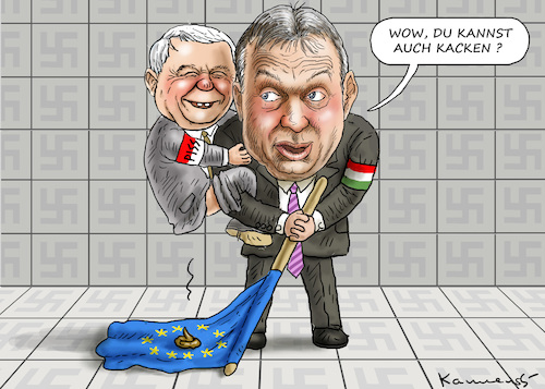 BRAUNE ALLIANZ KACZYNSKI- ORBAN