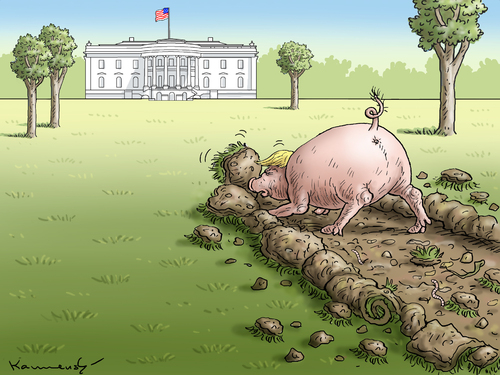 Cartoon: CONGRATULATION AMERICA (medium) by marian kamensky tagged obama,trump,präsidentenwahlen,usa,baba,vanga,republikaner,demokraten,faschismus,obama,trump,präsidentenwahlen,usa,baba,vanga,republikaner,demokraten,faschismus