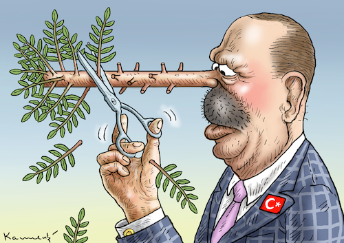 ERDOWAHNS OPERATION OLIVENZWEIG