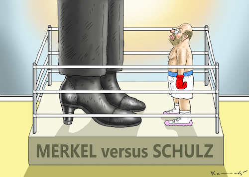 MERKEL BOXT SCHULZ