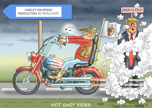 NOT EASY RIDER