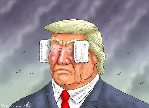 Cartoon: SCHEUKAPPENNARR (medium) by marian kamensky tagged der,schuldige,des,attentats,trump,biden,der,schuldige,des,attentats,trump,biden