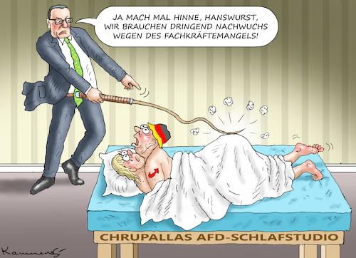 Cartoon: SCHLAFANTREIBER CHRUPALLA (medium) by marian kamensky tagged schlafantreiber,chrupalla,afd,schlafantreiber,chrupalla,afd