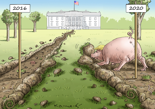 Cartoon: THE SAME PROCEDURE (medium) by marian kamensky tagged us,wahlen,joe,biden,trump,corona,bob,woodward,harris,pence,us,wahlen,joe,biden,trump,corona,bob,woodward,harris,pence