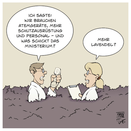 Ichpflanzfürdich Lavendel