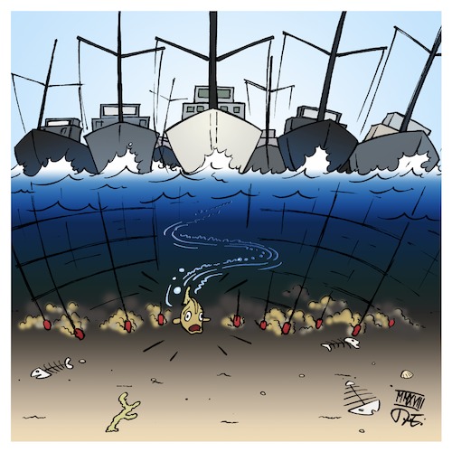 Cartoon: Industriefischerei (medium) by Timo Essner tagged fischerei,fischindustrie,fische,artensterben,überfischung,fisch,bestände,weltmeere,umwelt,umweltschutz,nahrungsmittel,lebensmittelindustrie,raubbau,ökologie,naturschutz,cartoon,timo,essner,fischerei,fischindustrie,fische,artensterben,überfischung,fisch,bestände,weltmeere,umwelt,umweltschutz,nahrungsmittel,lebensmittelindustrie,raubbau,ökologie,naturschutz,cartoon,timo,essner