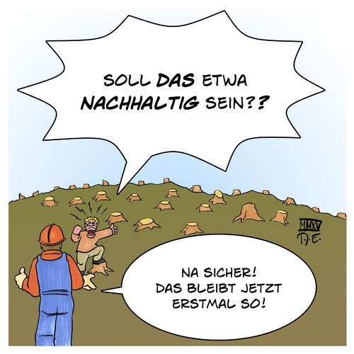 Nachhaltige Forstwirtschaft