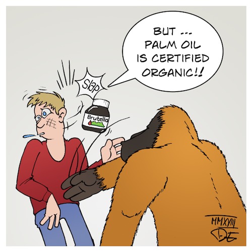 Palm Oil