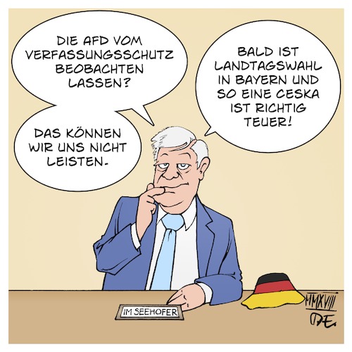 Seehofer und die AfD