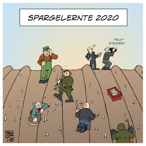 Spargelernte 2020