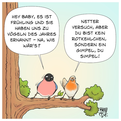 Cartoon: Vogel des Jahres 2021 (medium) by Timo Essner tagged vogel,des,jahres,2021,nabu,naturschutzbund,artenvielfalt,umweltschutz,naturschutz,artenschutz,biodiversität,einheimische,arten,rotkehlchen,cartoon,timo,essner,vogel,des,jahres,2021,nabu,naturschutzbund,artenvielfalt,umweltschutz,naturschutz,artenschutz,biodiversität,einheimische,arten,rotkehlchen,cartoon,timo,essner