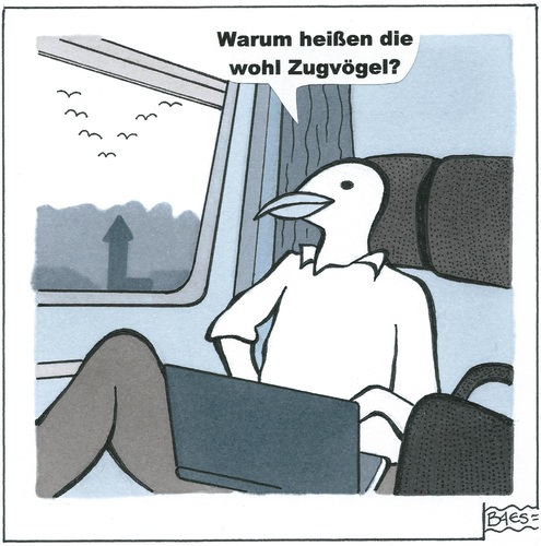 Cartoon: Gedanken eines Lokvogels. (medium) by BAES tagged zug,eisenbahn,bahn,abteil,reise,urlaub,fenster,vogel,fantasy,sprache,wortspiele,zugvögel,philosophie,zug,eisenbahn,bahn,abteil,reise,urlaub,fenster,vogel,fantasy,sprache,wortspiele,zugvögel,philosophie