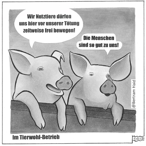 Im Tierwohl-Betrieb