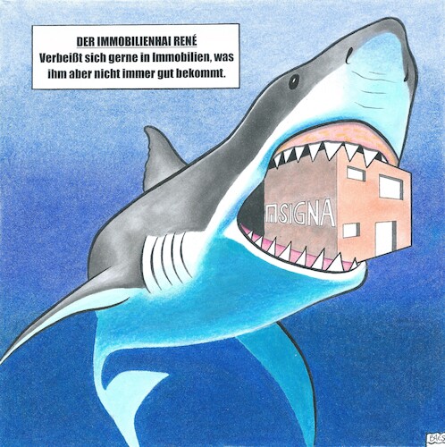 Cartoon: Immobilienhai (medium) by BAES tagged benko,immobilien,pleite,signa,insolvenz,investor,geld,wirtschaft,hai,benko,immobilien,pleite,signa,insolvenz,investor,geld,wirtschaft,hai