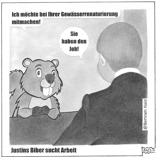 Cartoon: Justins Biber sucht Arbeit (medium) by BAES tagged renaturierung,gewässer,landwirschaft,ökosystem,natur,lebensraum,biber,arbeit,bewerbung,renaturierung,gewässer,landwirschaft,ökosystem,natur,lebensraum,biber,arbeit,bewerbung