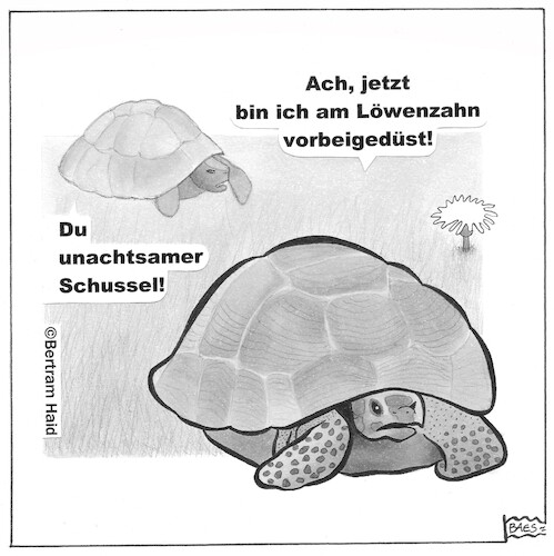 Cartoon: Vorbeigedüst (medium) by BAES tagged achtsamkeit,ruhe,gelassenheit,entspannung,hektik,tempo,langsamkeit,tiere,schildkröte,achtsamkeit,ruhe,gelassenheit,entspannung,hektik,tempo,langsamkeit,tiere,schildkröte