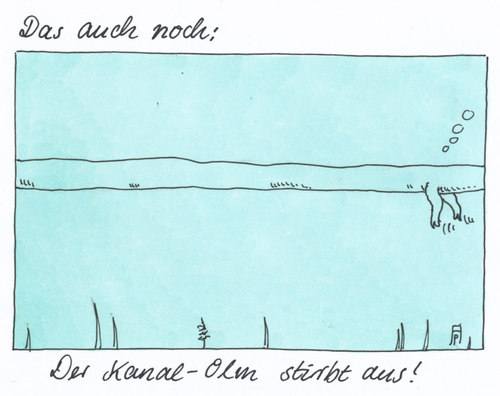 Cartoon: artensterben (medium) by Andreas Prüstel tagged olm,kanal,artensterben,cartoon,karikatur,andreas,pruestel,olm,kanal,artensterben,cartoon,karikatur,andreas,pruestel