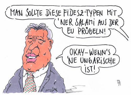 fidesz-typen