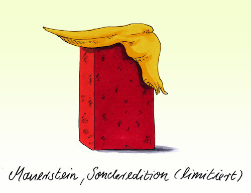 Cartoon: limitiert (medium) by Andreas Prüstel tagged usa,trump,mauerbau,nationaler,notstand,mauerstein,cartoon,karikatur,andreas,pruestel,usa,trump,mauerbau,nationaler,notstand,mauerstein,cartoon,karikatur,andreas,pruestel