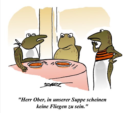 Keine Fliegen in der Suppe