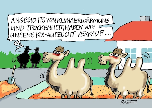 Cartoon: Fischzucht (medium) by RABE tagged klima,klimaziele,klimawende,ampel,wissing,streit,umsetzung,rabe,ralf,böhme,cartoon,karikatur,pressezeichnung,farbcartoon,tagescartoon,dürre,klimakatastrophe,wüste,trockenheit,sand,basin,pool,swimmingpool,kamele,koi,fisch,goldfisch,klimaerwärmung,erderwärmung,klima,klimaziele,klimawende,ampel,wissing,streit,umsetzung,rabe,ralf,böhme,cartoon,karikatur,pressezeichnung,farbcartoon,tagescartoon,dürre,klimakatastrophe,wüste,trockenheit,sand,basin,pool,swimmingpool,kamele,koi,fisch,goldfisch,klimaerwärmung,erderwärmung