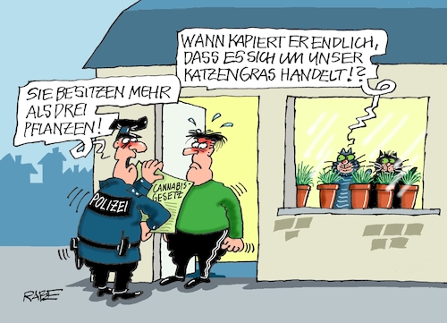 Cartoon: grasfresser (medium) by RABE tagged cannabis,cannabisfreigabe,cannabisgesetz,legalisierung,hanf,joint,drogen,karl,lauterbach,gesetz,polizei,behörden,länder,gras,katzen,katzengras,töpfe,pflanzen,kontrolle,cannabis,cannabisfreigabe,cannabisgesetz,legalisierung,hanf,joint,drogen,karl,lauterbach,gesetz,polizei,behörden,länder,gras,katzen,katzengras,töpfe,pflanzen,kontrolle