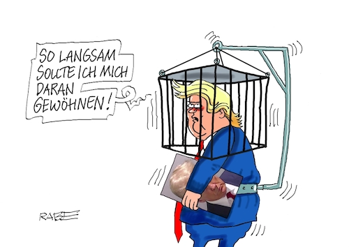 Cartoon: Gut behütet (medium) by RABE tagged trump,wahlkampf,usa,knast,gefängnis,fahndungsfoto,polizeifoto,haft,anklage,rabe,ralf,böhme,cartoon,karikatur,pressezeichnung,farbcartoon,tagescartoon,gitter,käfig,gitterkäfig,halterung,gefängnisgitter,trump,wahlkampf,usa,knast,gefängnis,fahndungsfoto,polizeifoto,haft,anklage,rabe,ralf,böhme,cartoon,karikatur,pressezeichnung,farbcartoon,tagescartoon,gitter,käfig,gitterkäfig,halterung,gefängnisgitter