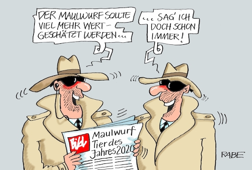 Maulwurf Tier des Jahres