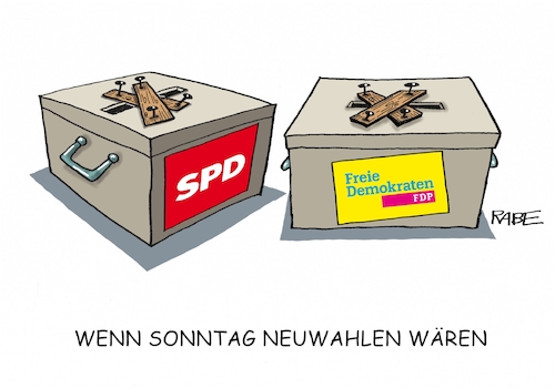 Neuwahlen