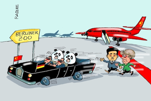 Cartoon: Pandabodyguards (medium) by RABE tagged staatsbesuch,china,deutschland,merkel,kanzlerin,xi,jinping,gastgeschenk,panda,pandabär,berliner,zoo,bambusbär,rabe,ralf,böhme,cartoon,karikatur,pressezeichnung,farbcartoon,tagescartoon,flugplatz,flugzeug,staatskarrosse,teppich,rot,bodyguards,staatsbesuch,china,deutschland,merkel,kanzlerin,xi,jinping,gastgeschenk,panda,pandabär,berliner,zoo,bambusbär,rabe,ralf,böhme,cartoon,karikatur,pressezeichnung,farbcartoon,tagescartoon,flugplatz,flugzeug,staatskarrosse,teppich,rot,bodyguards