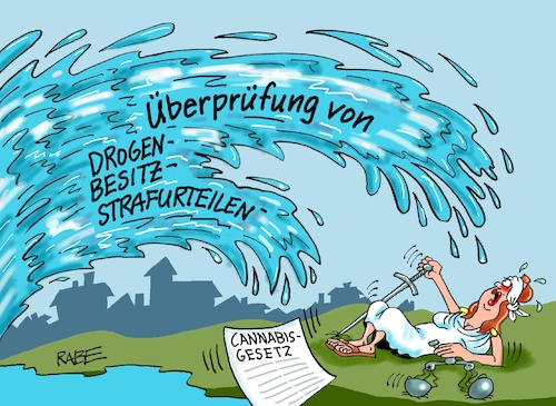 Überprüfungswelle