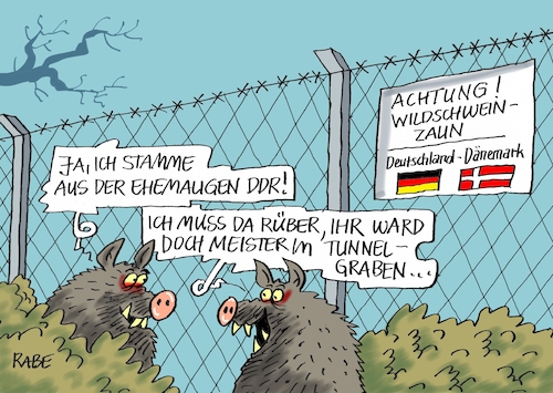 Cartoon: Wildsauzaun (medium) by RABE tagged trump,präsident,weisses,haus,washington,toilette,klo,klodeckel,sanierung,erneuerung,oval,office,rabe,ralf,böhme,cartoon,karikatur,pressezeichnung,farbcartoon,tagescartoon,zaun,mauer,stacheldraht,ddr,wild,wildsau,eber,wildschweine,tunnel,sed,regime,stasi,dänemark,deutschland,grenze,grenzzaun,schweinepest,nordafrika,migranten,flüchtlinge,grenzkontrolle,trump,präsident,weisses,haus,washington,toilette,klo,klodeckel,sanierung,erneuerung,oval,office,rabe,ralf,böhme,cartoon,karikatur,pressezeichnung,farbcartoon,tagescartoon,zaun,mauer,stacheldraht,ddr,wild,wildsau,eber,wildschweine,tunnel,sed,regime,stasi,dänemark,deutschland,grenze,grenzzaun,schweinepest,nordafrika,migranten,flüchtlinge,grenzkontrolle