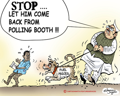 Democracy Political Cartoon India