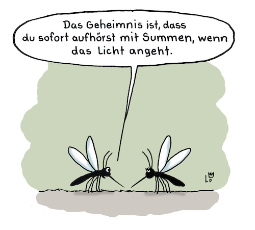 Geheimtipp