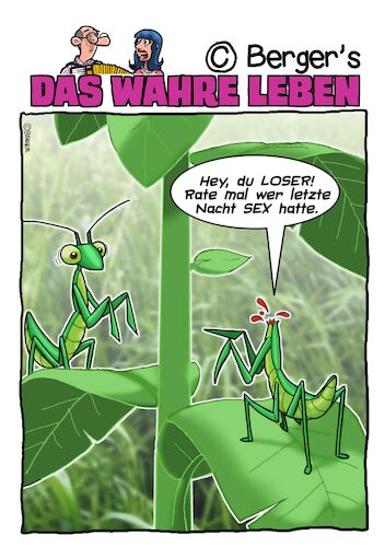 Cartoon: Gottesanbeterin (medium) by Chris Berger tagged praying,mantis,gottesanbeterin,dekapitation,praying,mantis,gottesanbeterin,sex,dekapitation