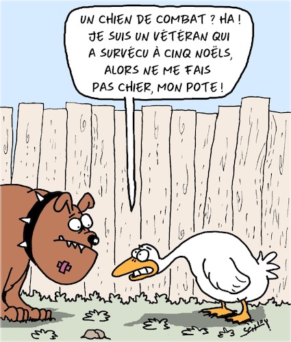 Cartoon: Chien de Combat (medium) by Karsten Schley tagged chiens,oies,animaux,noel,veterans,alimentation,comportement,social,societe,chiens,oies,animaux,noel,veterans,alimentation,comportement,social,societe