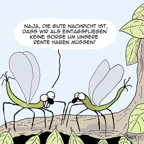 Cartoon: Die Rente ist sicher! (medium) by Karsten Schley tagged alter,rente,pensionen,geld,gesellschaft,vorsorge,altersgeld,insekten,natur,tiere,alter,rente,pensionen,geld,gesellschaft,vorsorge,altersgeld,insekten,natur,tiere