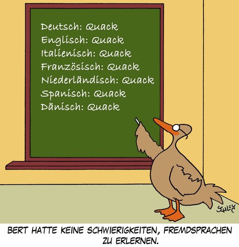 Cartoon: Fremdsprachen (medium) by Karsten Schley tagged lernen,schule,universität,sprachen,fremdsprachen,tiere,enten,bildung,lernen,schule,universität,sprachen,fremdsprachen,tiere,enten,bildung