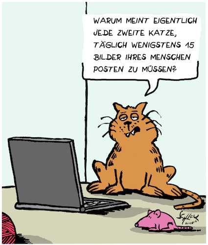 Cartoon: Für die Katz (medium) by Karsten Schley tagged katzenbilder,internet,facebook,tiere,menschen,katzen,technik,kommunikation,clickbait,computer,medien,gesellschaft,katzenbilder,internet,facebook,tiere,menschen,katzen,technik,kommunikation,clickbait,computer,medien,gesellschaft