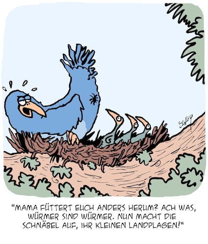 Cartoon: Futterzeit! (medium) by Karsten Schley tagged vögel,natur,jungtiere,nahrung,fütterung,umwelt,mütter,väter,kinder,familien,gesellschaft,vögel,natur,jungtiere,nahrung,fütterung,umwelt,mütter,väter,kinder,familien,gesellschaft