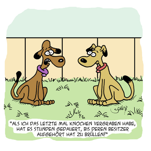 Hundeknochen