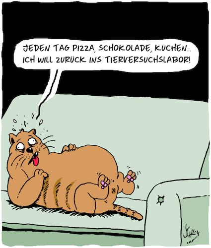 Katzen-Cartoon