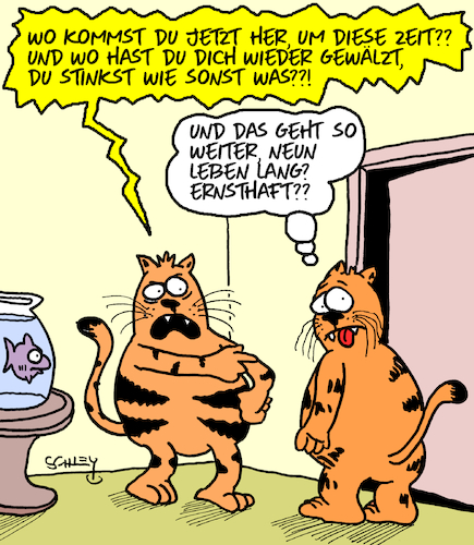 Katzencartoon